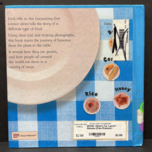 Load image into Gallery viewer, What's For Lunch? Banana (Pam Robson) -hardcover educational
