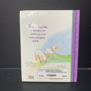 What Is God LIke? (Little Blessings) (Kathleen Long Bostrom) -religion hardcover