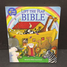 Load image into Gallery viewer, Lift-the-Flap Bible (Sally Lloyd-Jones) (Studio Fun Cover) -religion board
