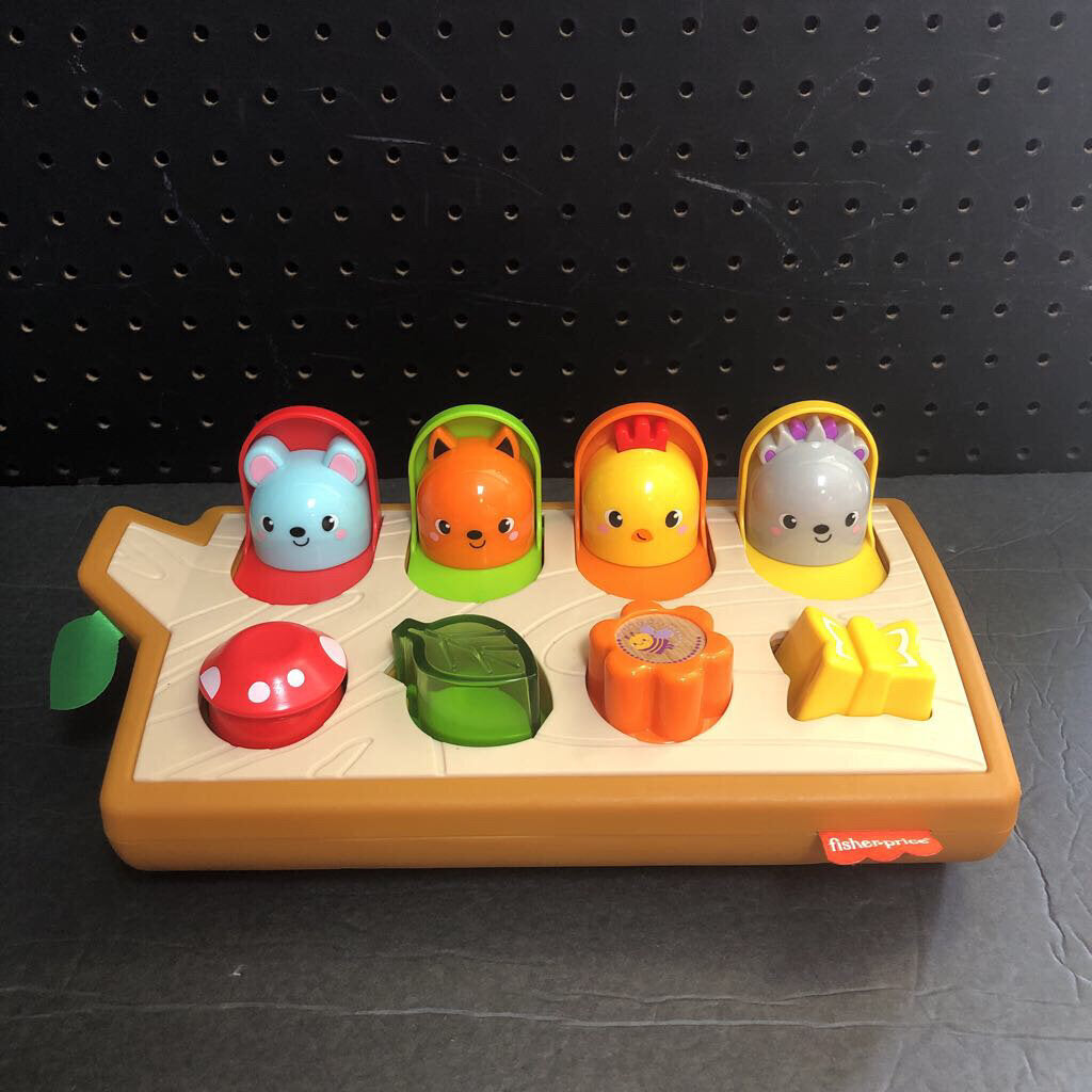 Hide & Peek Pop Up Toy