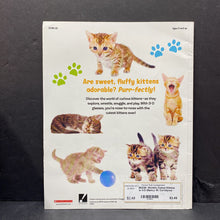 Load image into Gallery viewer, World's Cutest Kittens in 3-D (Nancy W. Cortelyou) -paperback educational
