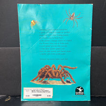 Load image into Gallery viewer, Where's That Spider? (Bernice Chardiet) (Hide &amp; Seek Science) -paperback educational
