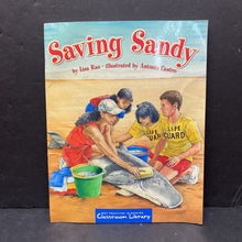 Load image into Gallery viewer, Saving Sandy (Lisa Rao) -paperback
