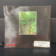 Load image into Gallery viewer, Looking Closely in the Rainforest (Frank Serafini) -paperback

