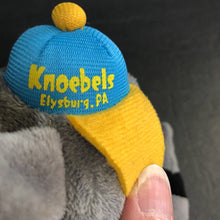 Load image into Gallery viewer, Dexter the Raccoon Plush (Knoebels)
