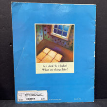Load image into Gallery viewer, Is it Dark? Is it Light? (Mary D. Lankford) -paperback
