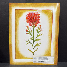 Load image into Gallery viewer, The Legend of the Indian Paintbrush (Tomie dePaola) -paperback
