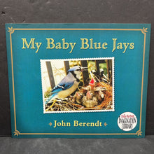 Load image into Gallery viewer, My Baby Blue Jays (John Berendt) -paperback
