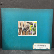 Load image into Gallery viewer, My Baby Blue Jays (John Berendt) -paperback
