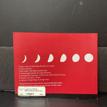 Load image into Gallery viewer, Just a Second: A Different Way to Look at Time (Steve Jenkins) -paperback educational
