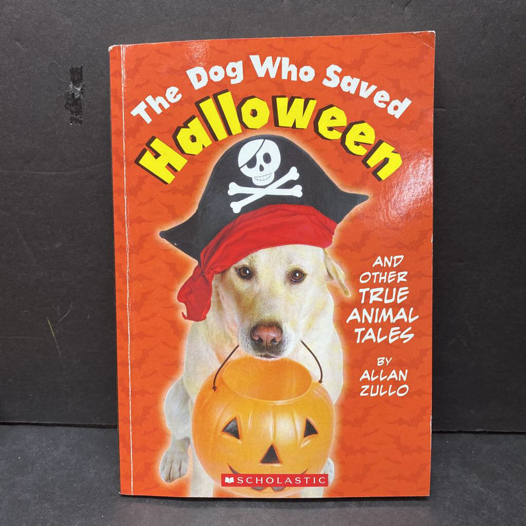 The Dog Who Saved Halloween and Other True Animal Stories (Allan Zullo) -paperback chapter