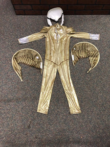 4pc Wonder Woman 1984 Costume