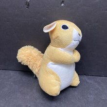 Load image into Gallery viewer, Squirrel Plush
