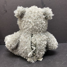 Load image into Gallery viewer, Record Your Own Message Bear Plush (Custom Plush Innovations)
