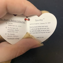 Load image into Gallery viewer, Spunky the Cocker Spaniel Dog Beanie Baby
