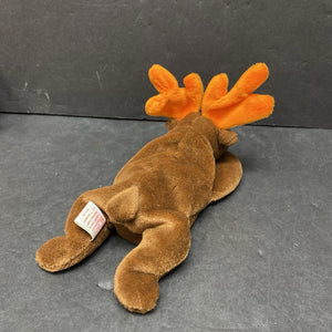 Chocolate the Moose Beanie Baby