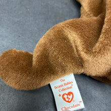 Load image into Gallery viewer, Chocolate the Moose Beanie Baby
