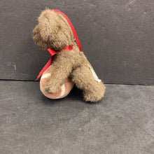 Load image into Gallery viewer, The Head Bean Collection Football Bear Plush
