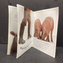 Load image into Gallery viewer, On the Farm (Snap Shot) -paperback educational
