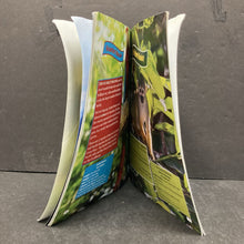 Load image into Gallery viewer, A Kid's Guide to Costa Rica (Notable Place) (Jack L. Roberts) (Curious Kids) -paperback educational
