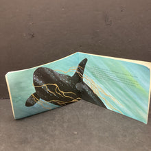 Load image into Gallery viewer, Orca Song (Smithsonian Oceanic Collection) (Michael C. Armour) -paperback educational
