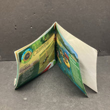 Load image into Gallery viewer, How Rude! 10 Real Bugs Who Won't Mind Their Manners (Insects) (Heather Montgomery) -paperback educational
