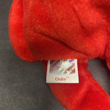Load image into Gallery viewer, Osito the Mexico Bear Beanie Baby
