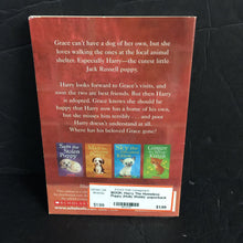 Load image into Gallery viewer, Harry The Homeless Puppy (Holly Webb) -paperback chapter
