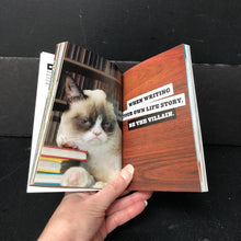 Load image into Gallery viewer, The Grumpy Guide to Life (Grumpy Cat) -paperback inspirational
