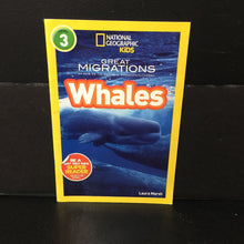 Load image into Gallery viewer, Whales (National Geographic Kids - Level 3) (Great Migrations) -educational reader
