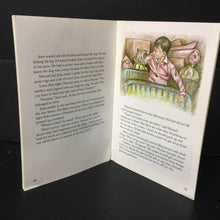 Load image into Gallery viewer, Juan's Journey (Carol Herrera) (Scott Foresman) -reader
