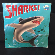 Load image into Gallery viewer, Sharks! (Lynn Wilson) -paperback educational
