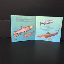Load image into Gallery viewer, Sharks! (Lynn Wilson) -paperback educational
