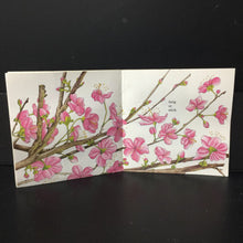 Load image into Gallery viewer, How to Hide a Butterfly &amp; Other Insects (Ruth Heller) -paperback

