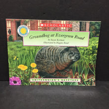 Load image into Gallery viewer, Groundhog at Evergreen Road (Smithsonian) (Susan Korman) -paperback
