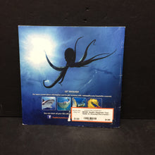 Load image into Gallery viewer, Sealife Aquarium: Your Guide to Amazing Discoveries -paperback educational
