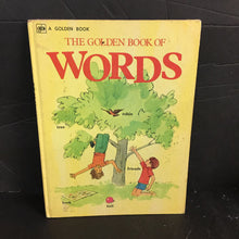 Load image into Gallery viewer, The Golden Book of Words (Selma Lola Chambers) -hardcover
