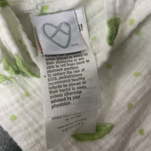 Load image into Gallery viewer, Peas Swaddle Blanket

