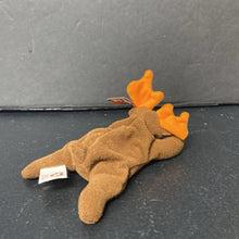 Load image into Gallery viewer, Chocolate the Moose Beanie Baby
