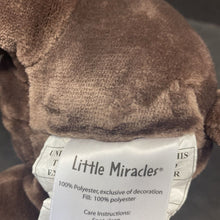 Load image into Gallery viewer, Bear Plush
