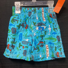 Load image into Gallery viewer, Pirate swim shorts
