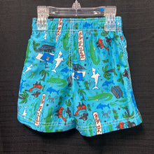 Load image into Gallery viewer, Pirate swim shorts

