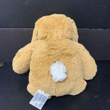 Load image into Gallery viewer, Bunny Easter
