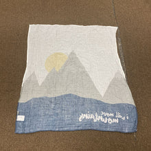 Load image into Gallery viewer, Baby's First Year Monthly Milestone Blanket &amp; Cards
