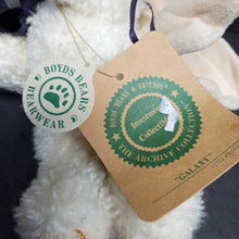 Load image into Gallery viewer, Galaxy Angel Bear Plush
