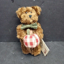 Load image into Gallery viewer, Jonathan Applesmith Bear Plush
