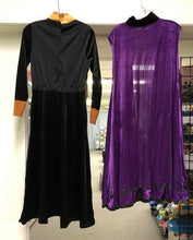 Load image into Gallery viewer, Deluxe Adult Anna Costume (NEW)
