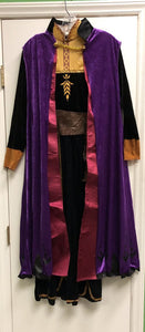 Deluxe Adult Anna Costume (NEW)