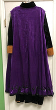 Load image into Gallery viewer, Deluxe Adult Anna Costume (NEW)
