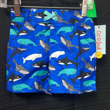 Load image into Gallery viewer, Archived on 2024-10-05 by SC for fulfilment
